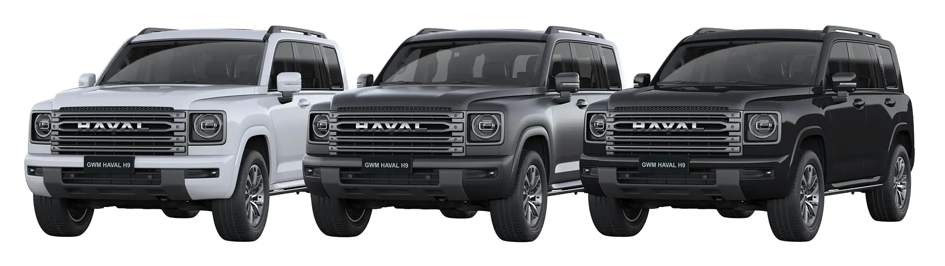 2025-gwm-haval-h9-colours-car-back-catalogue